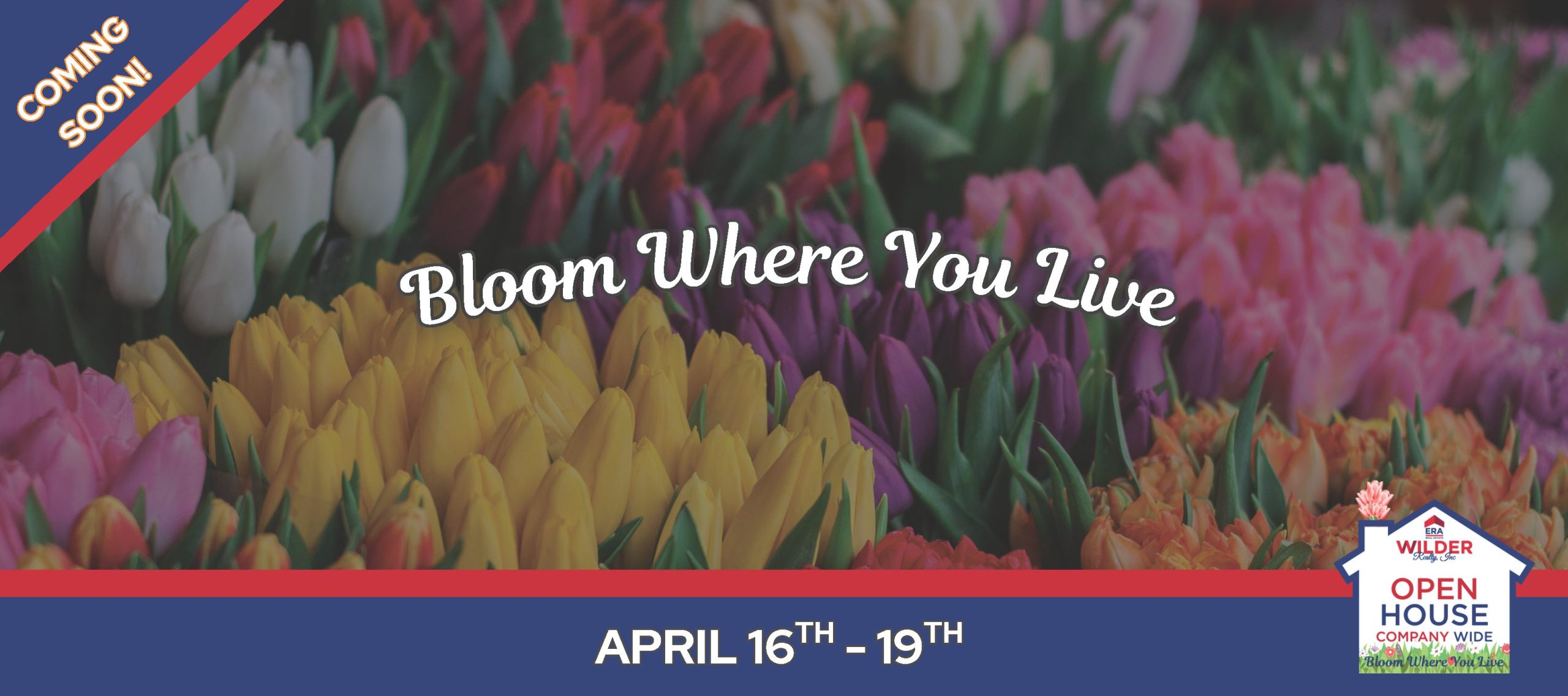 Web Banners Company Wide Open House-3_Page_1